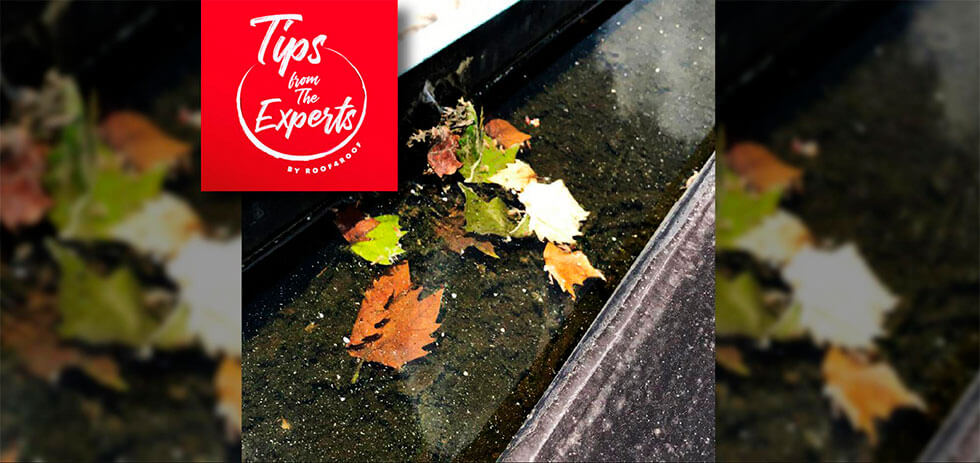 Should I keep my home’s gutters clean?